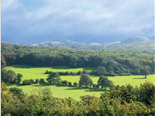 The Druid Inn Llanferres Bagian luar foto